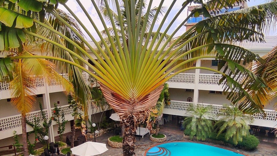 Acuarium Suite Resort