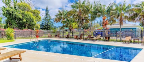 A rectangular swimming pool with a tiled deck, surrounded by palm trees and a fence.