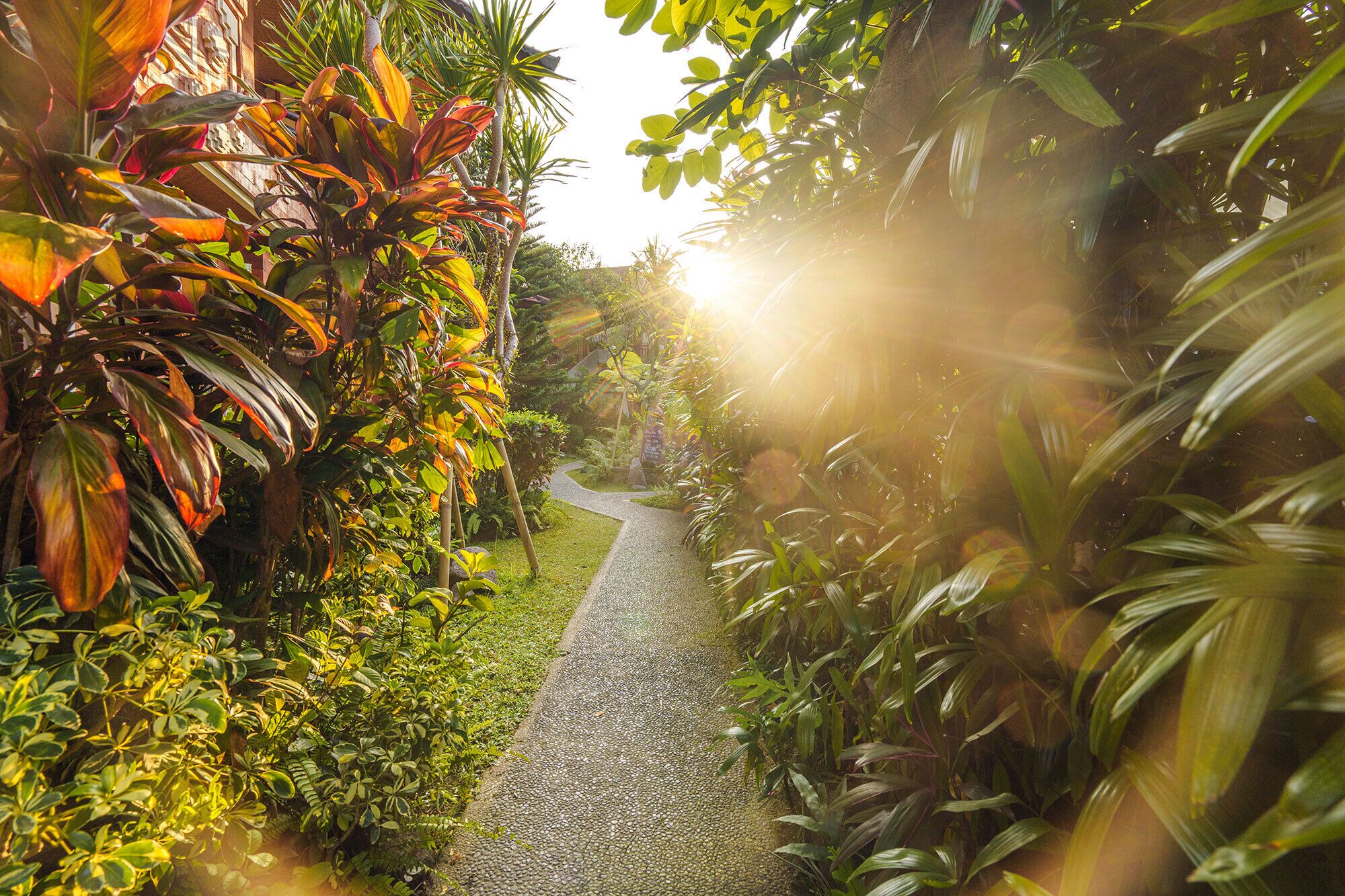 Photo - Rama Phala Resort & Spa
