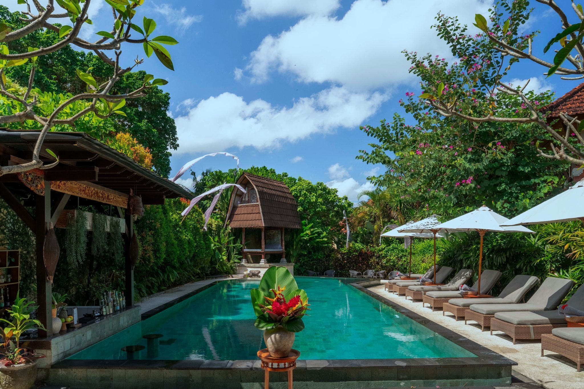 A swimming pool with lounge chairs and a decorative plant in the foreground.
