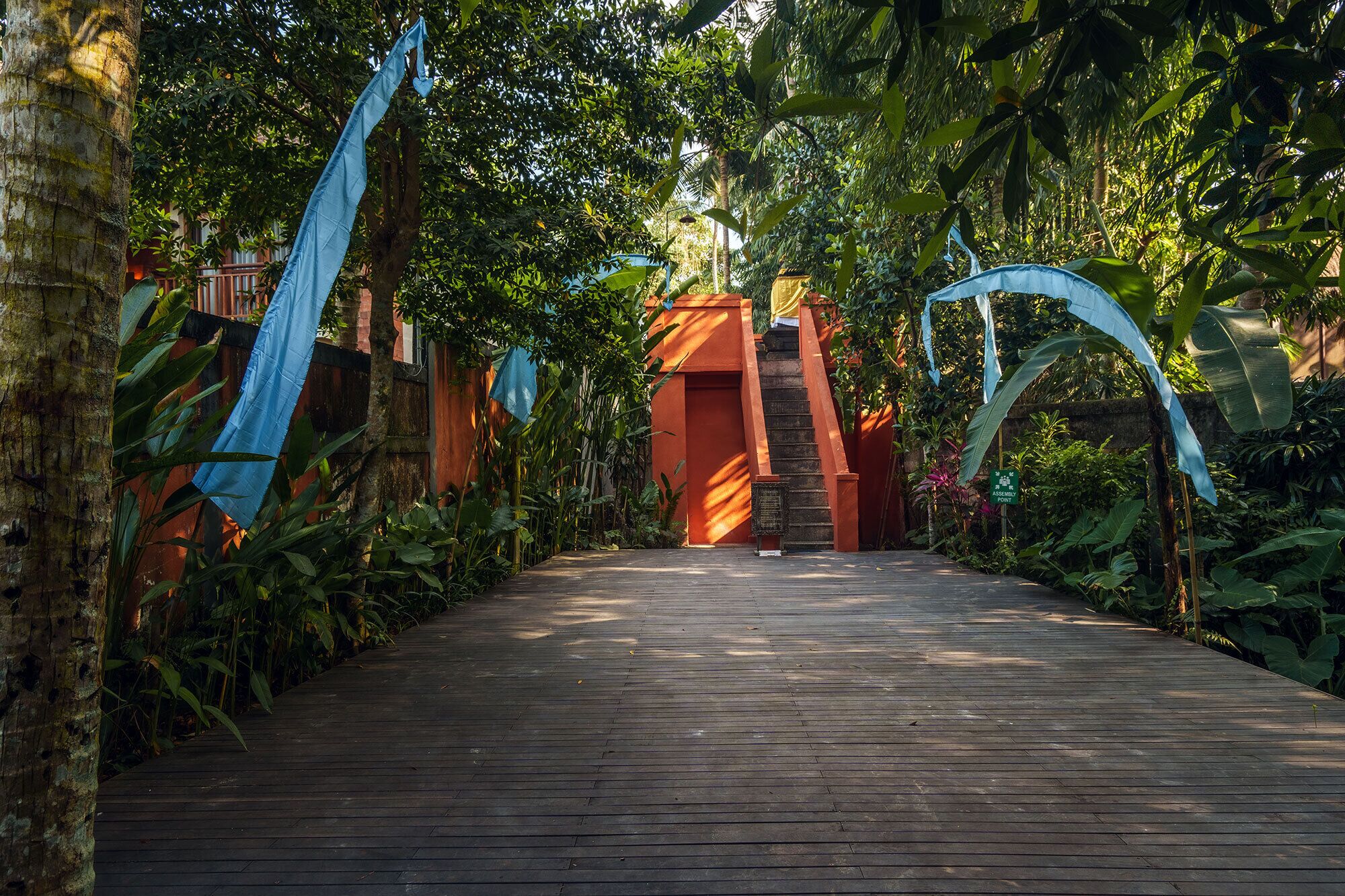 Un sendero de madera que lleva a una escalera, rodeada de vegetación exuberante y plantas tropicales.
