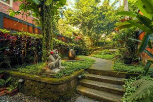 Taman