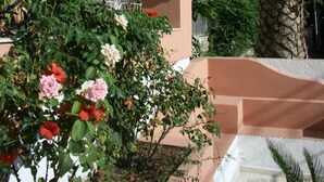 A multi-story building with balconies, a palm tree, and flowering plants. - Aegli Hotel (Corfu)