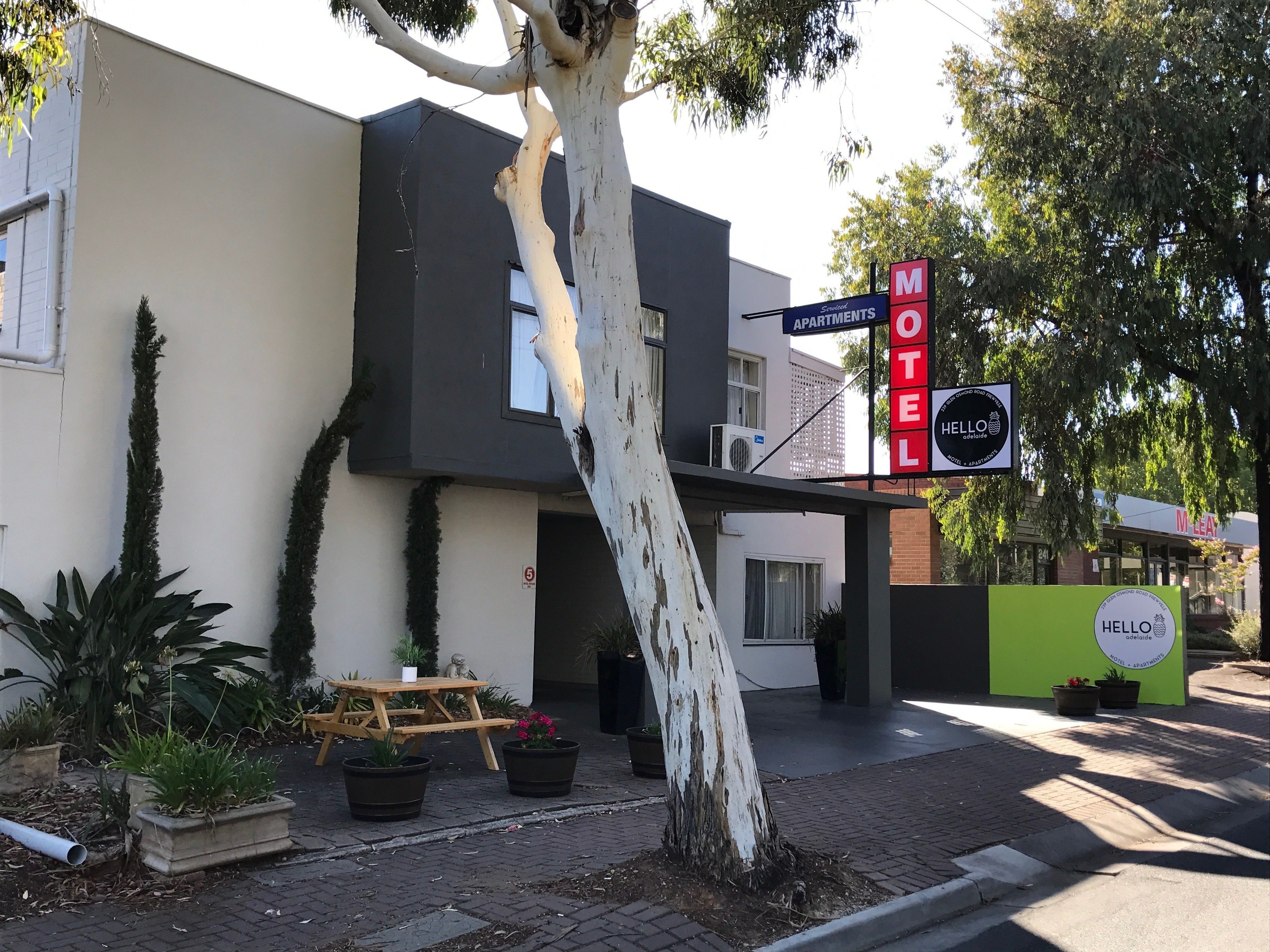 Budget Motel Room | Property grounds