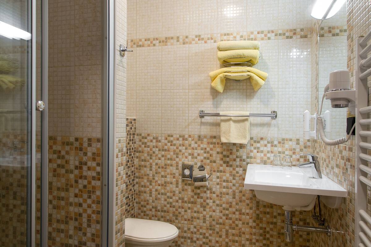 shower, free toiletries, hair dryer, towels