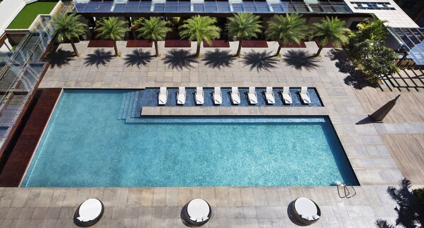 A rooftop pool with sun loungers, palm trees, and a view of the city.