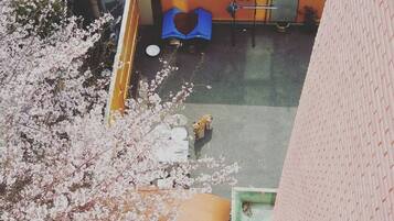 A view of a building with a cherry blossom tree in the foreground, a dog on the sidewalk, and a blue heart-shaped object on the ground.