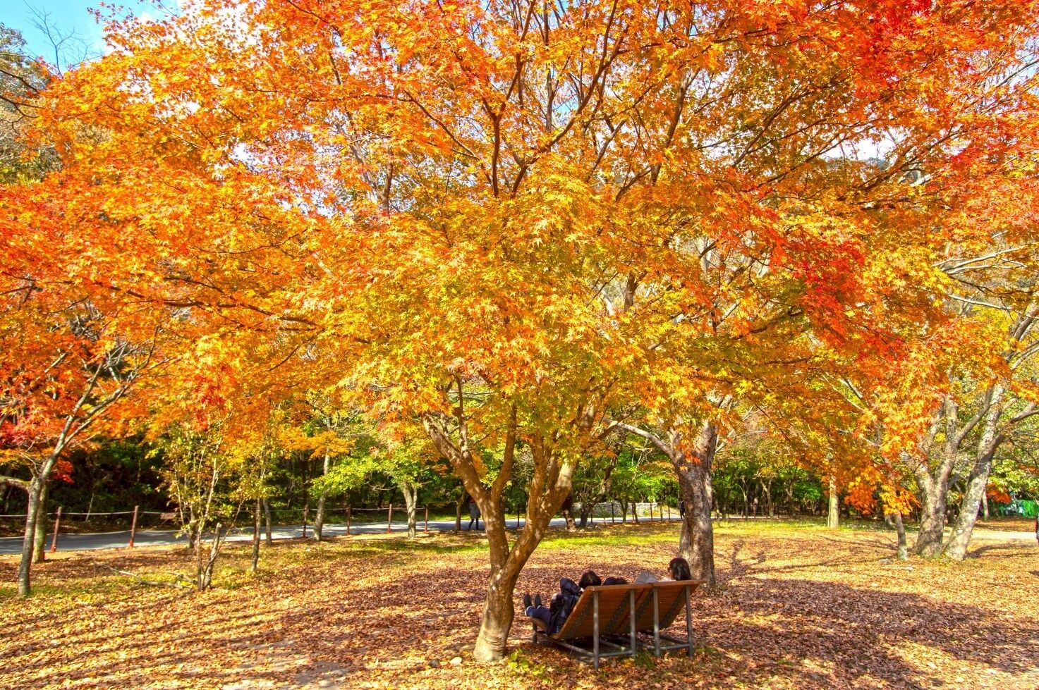 Photo - OPPA Hostel Sinchon-Hongdae