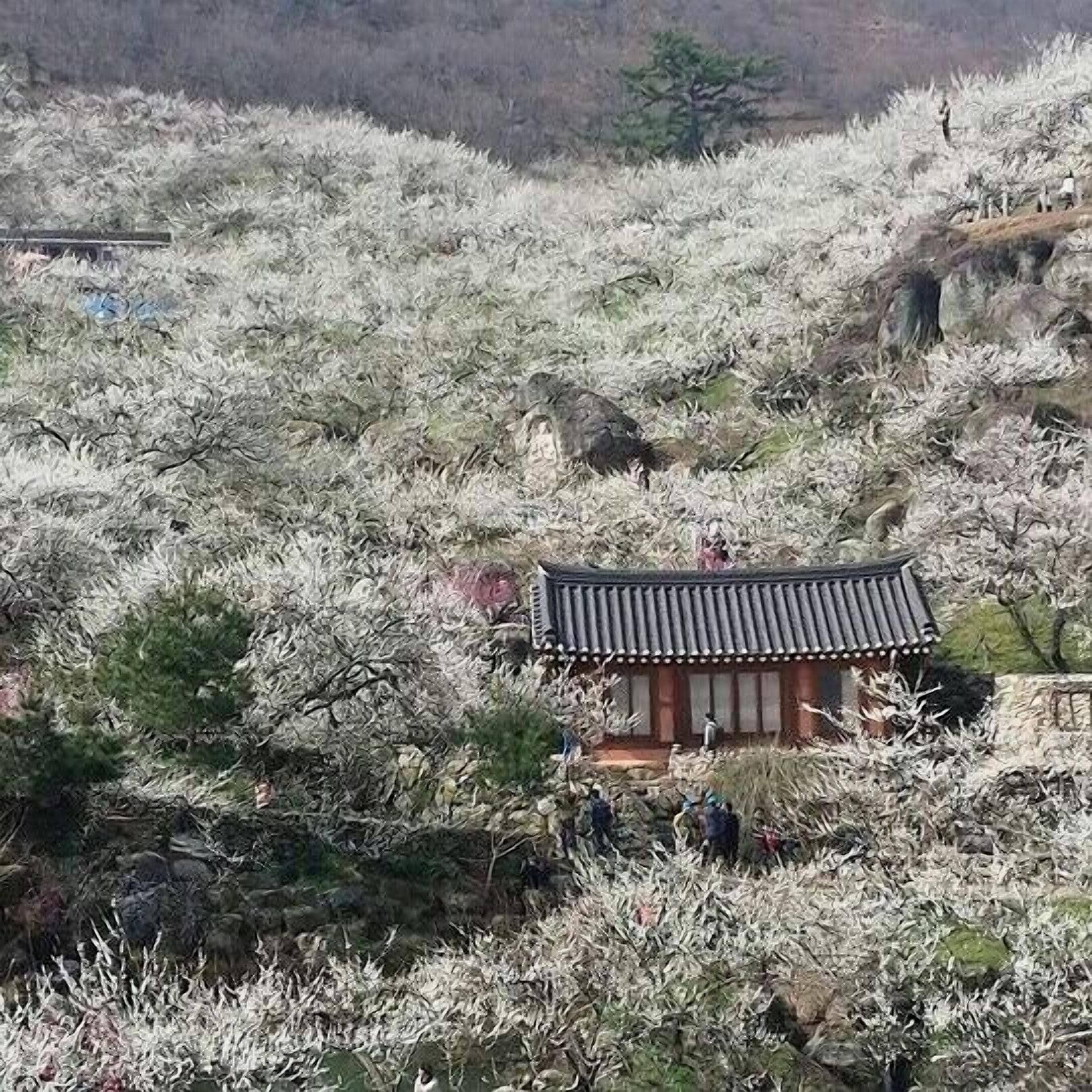 Foto - OPPA Hostel Sinchon-Hongdae