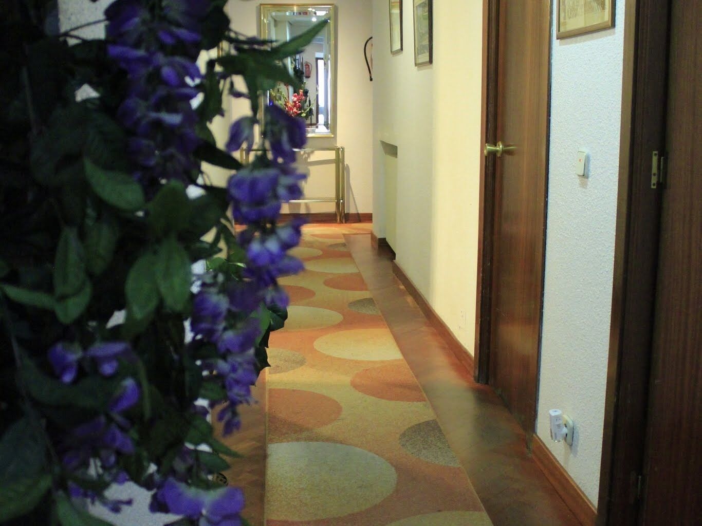 Foto - Hostal Esmeralda