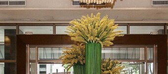 Mandarin Plaza Hotel