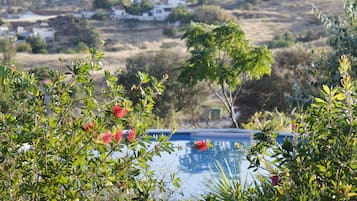 Una piscina al aire libre, una piscina natural