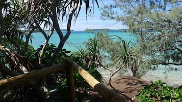 Tree House | Balcony view