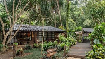 Superior Twin Room | View from room