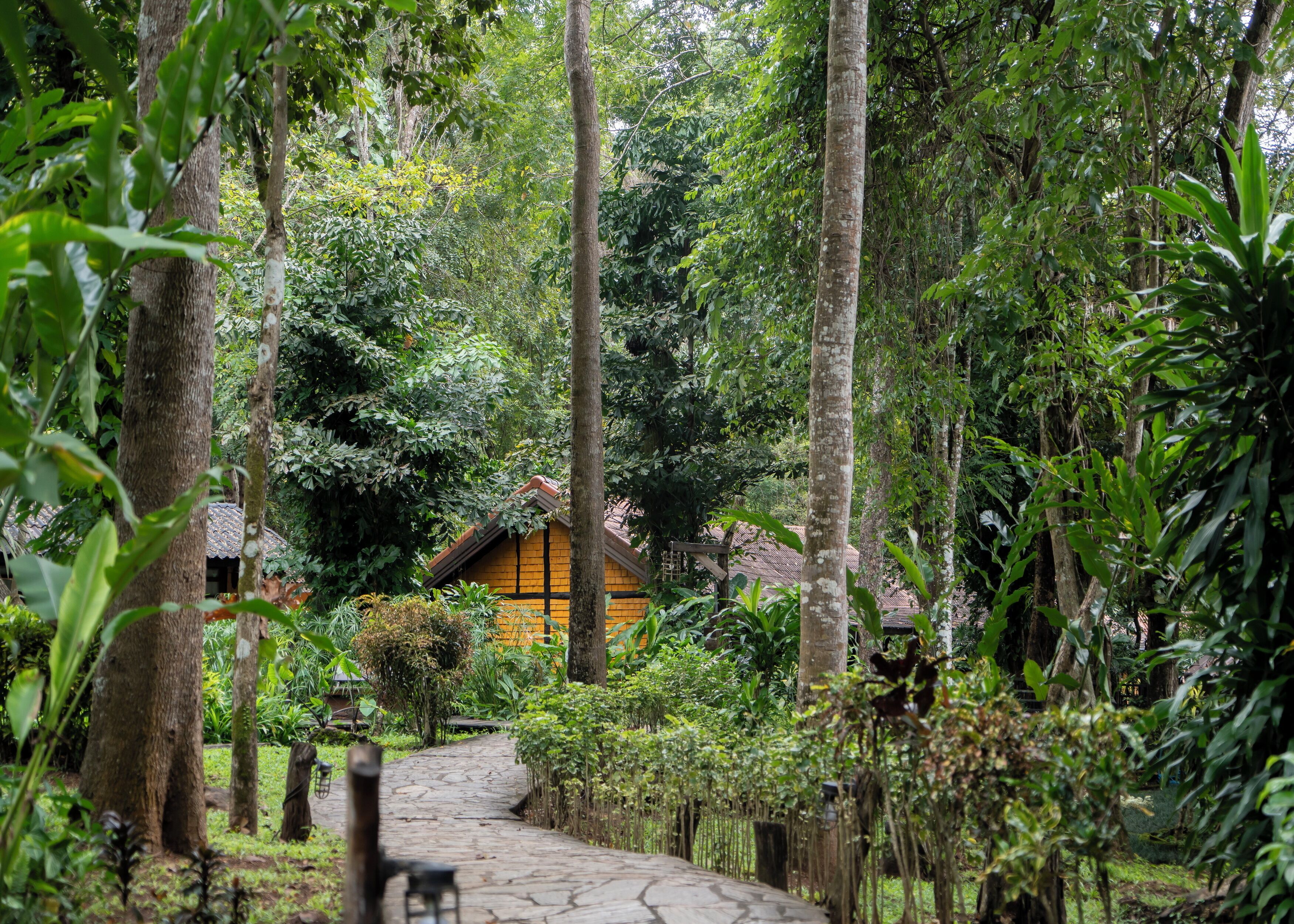 A stone pathway leading to a rustic wooden building surrounded by lush greenery.