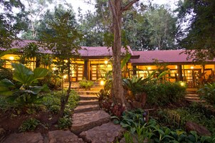 Vista desde la habitación