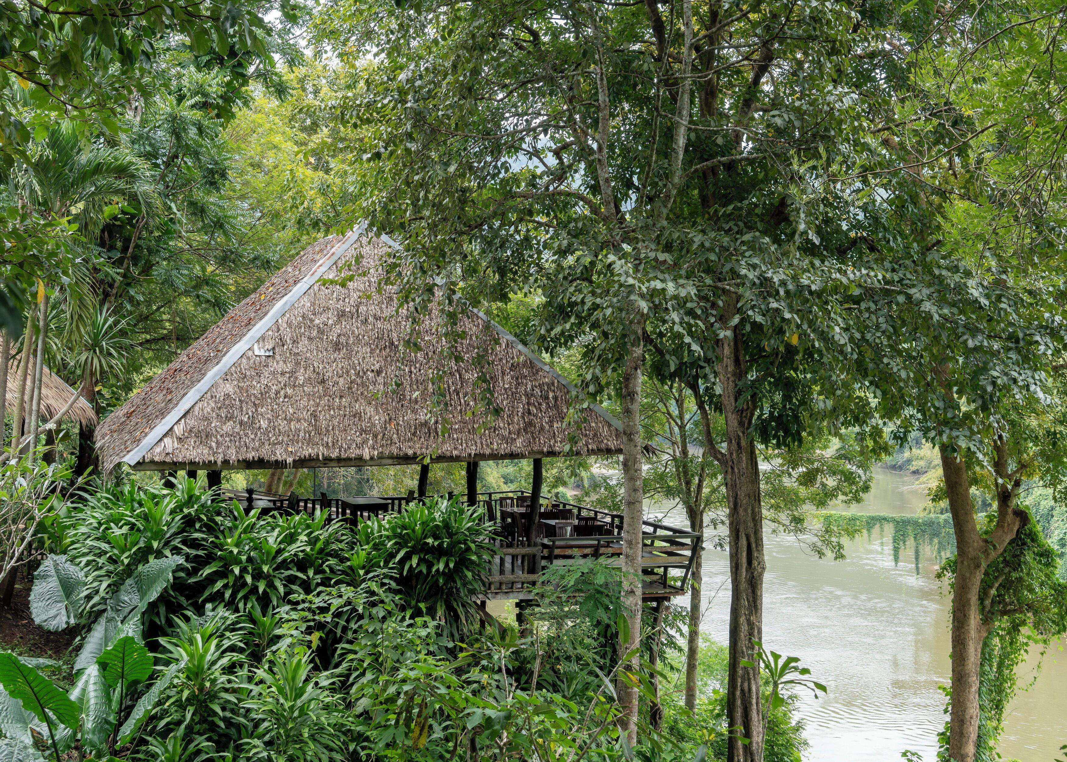 Une construction à toit de chaume, dotée d’une terrasse en bois, entourée d’une végétation luxuriante et offrant une vue sur une rivière.