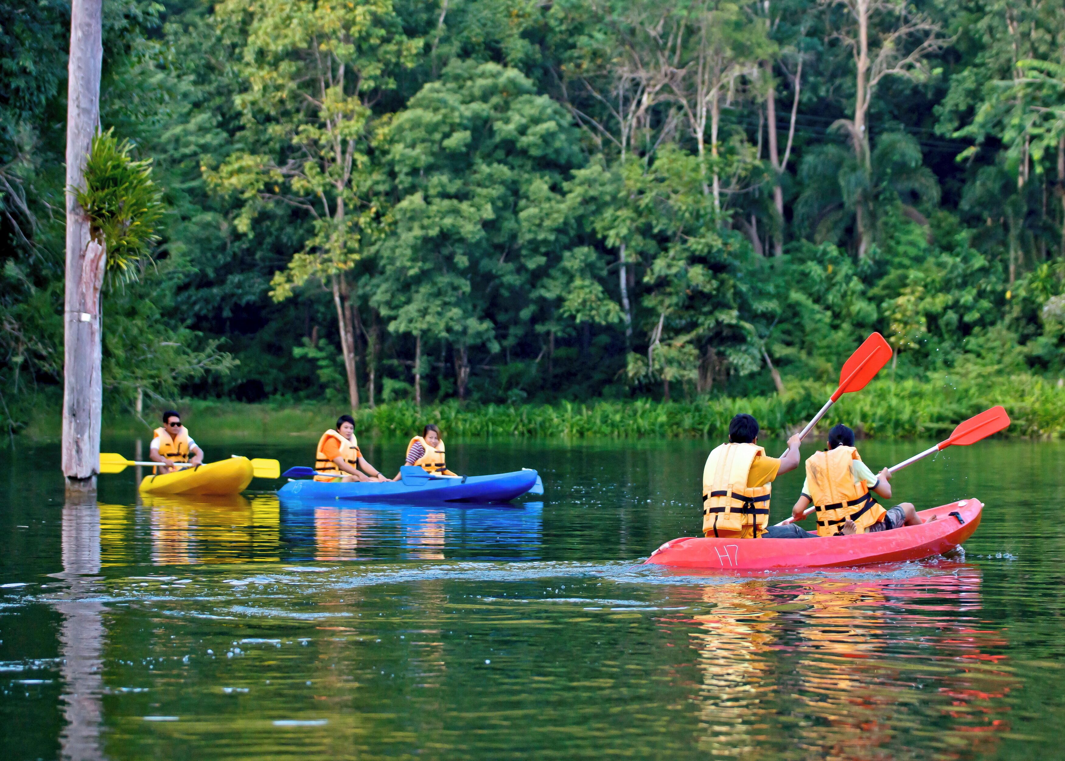 People kayaking on a calm river surrounded by dense greenery.