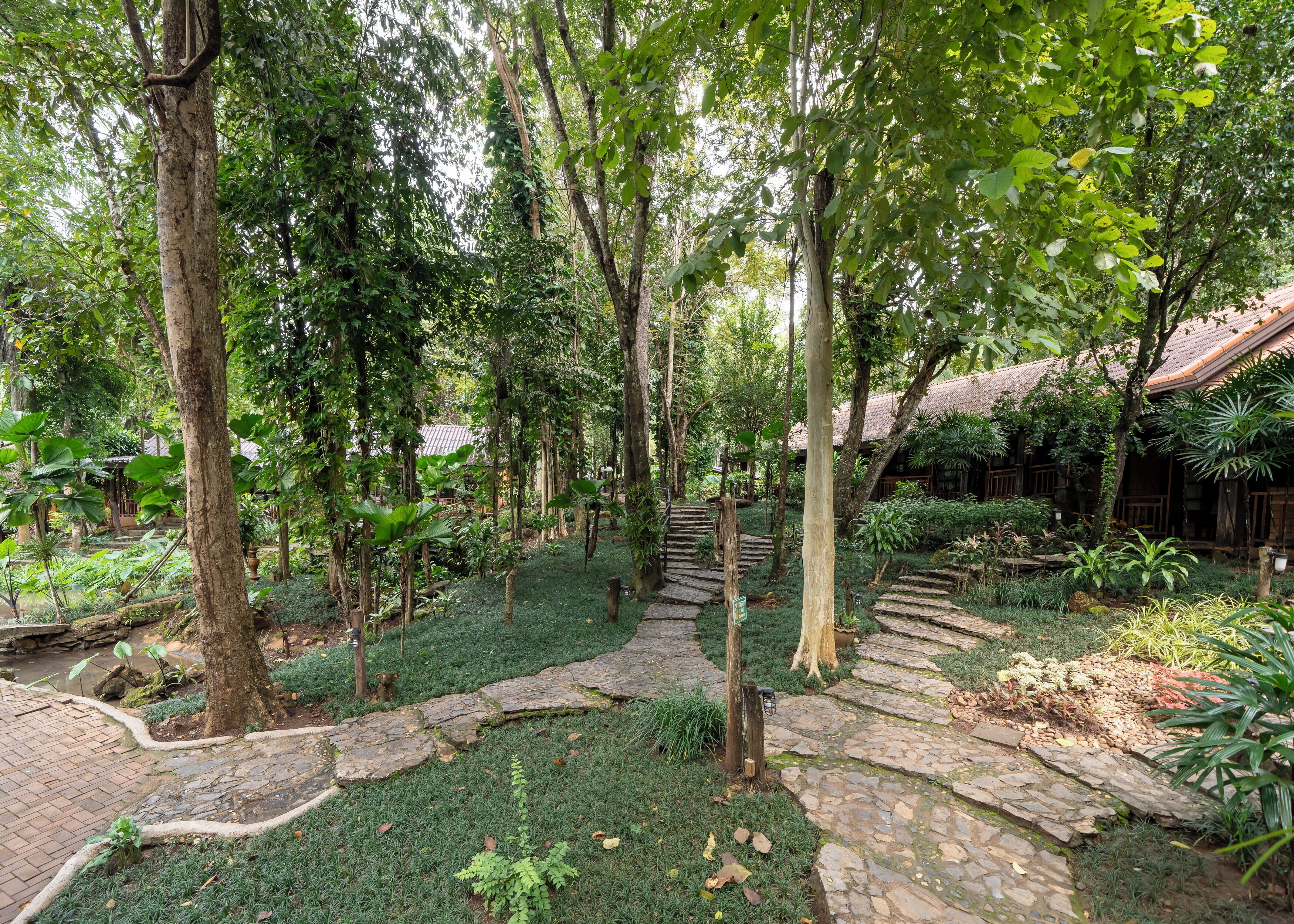 Un sendero de piedra serpentea por un exuberante jardín lleno de árboles y plantas diversas.