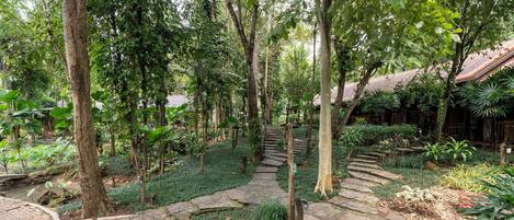 Un sendero de piedra serpentea por un exuberante jardín lleno de árboles y plantas diversas.
