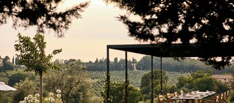  Castello Del Nero - Podere San Filippo 