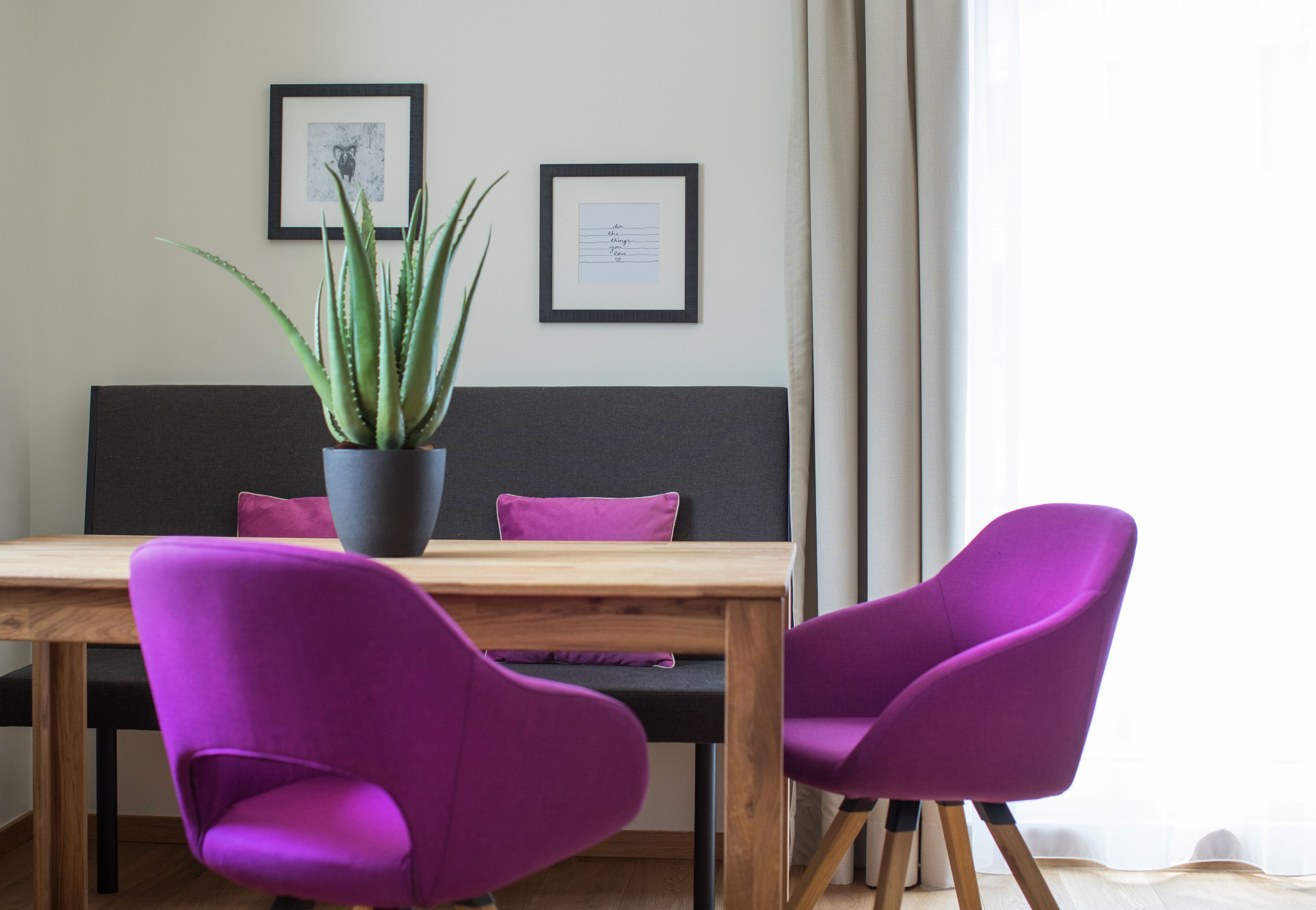 Een moderne kamer met een houten tafel, twee paarse stoelen, een potplant en twee ingelijste foto's aan de muur.