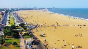A beach with a road running parallel to it, lined with trees and buildings. - E Hotel (Chennai)