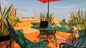 A rooftop terrace with a table, a laptop, and a dog. - Hotel Templo Mayor (Mexico City)