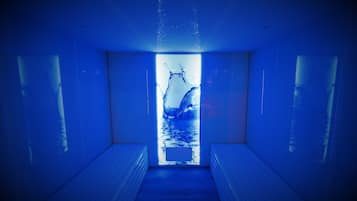 Sauna a vapor