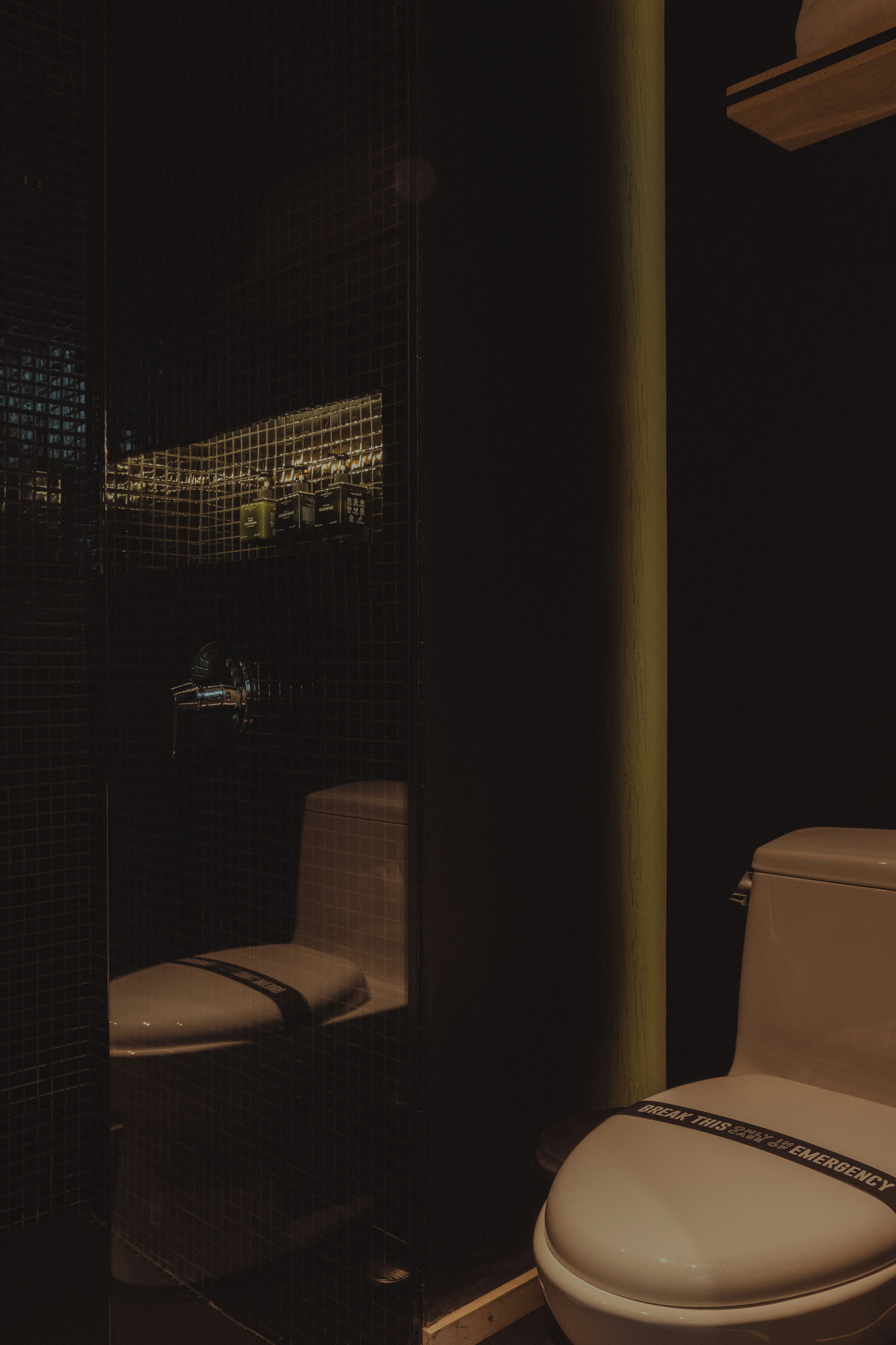 Een badkamer met toilet en douche.