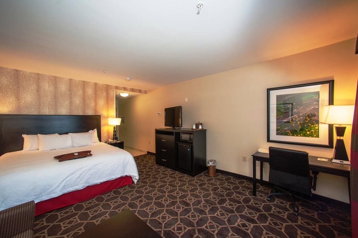 A hotel room with a large bed, a desk, a chair, a TV, and a framed picture on the wall.
