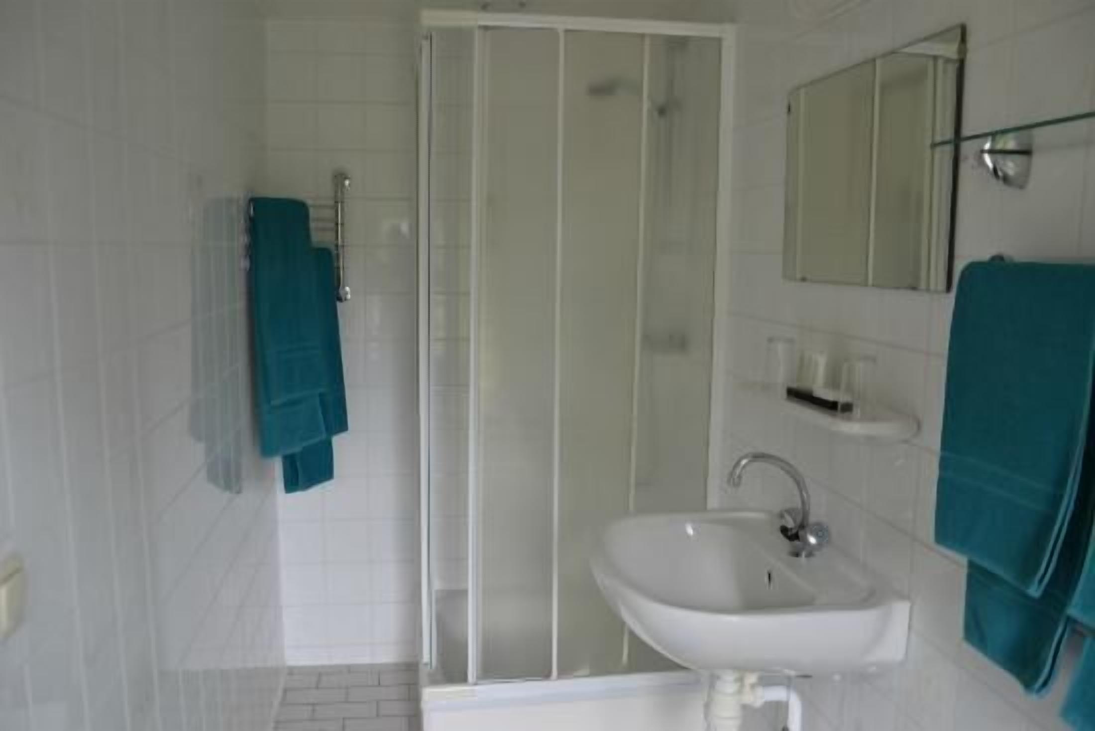 standard double room | bathroom | shower