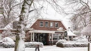Eksteriør