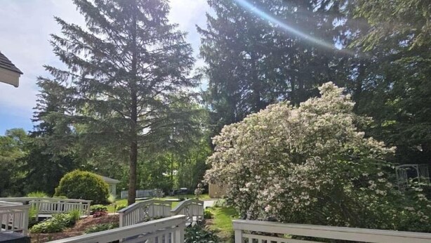 A deck with a glass-top table and chairs, surrounded by white railings and a large flowering tree. - New Buffalo Inn (New Buffalo)