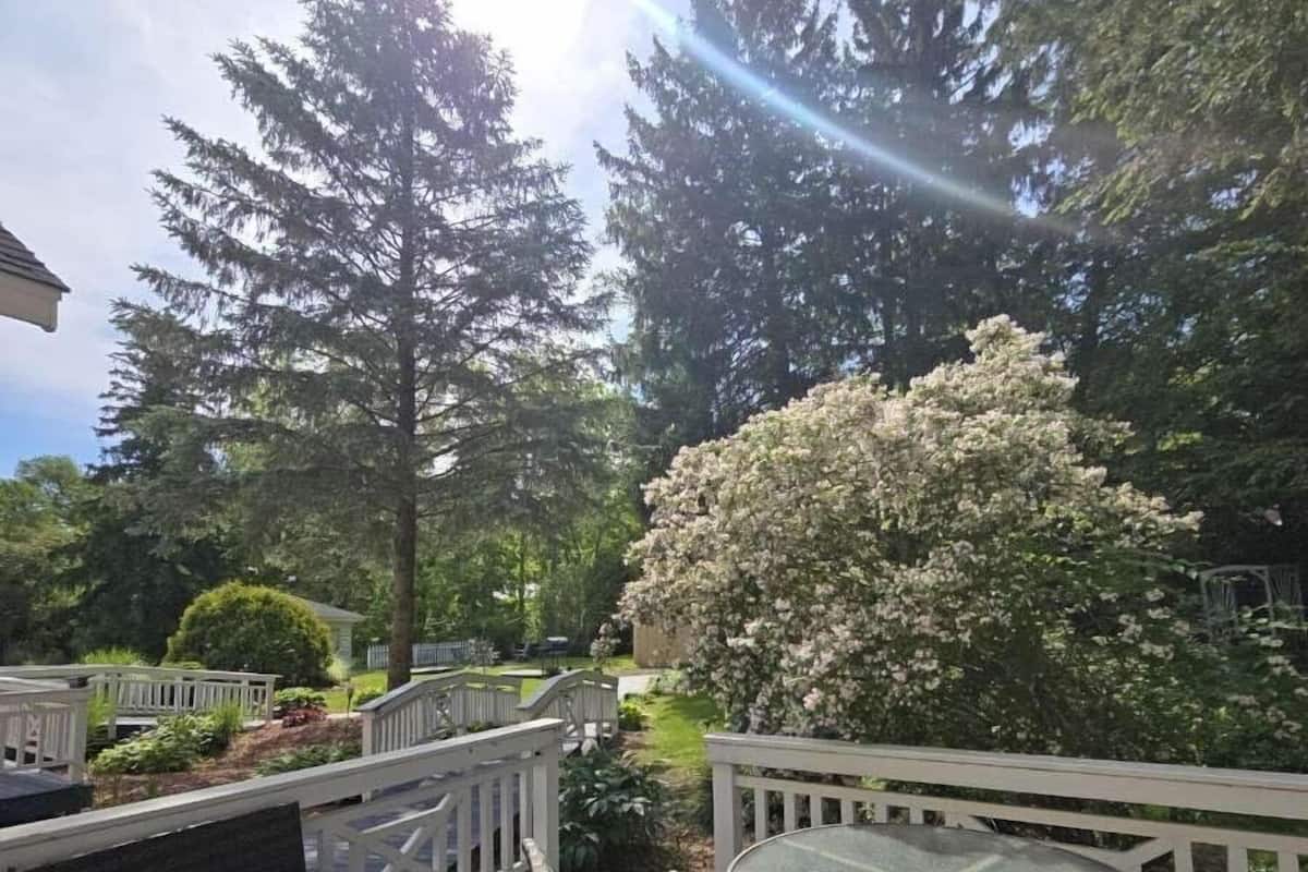 Une terrasse dotée d’une table et de chaises à plateau de verre, entourée de rampes blanches et d’un grand arbre en fleurs.