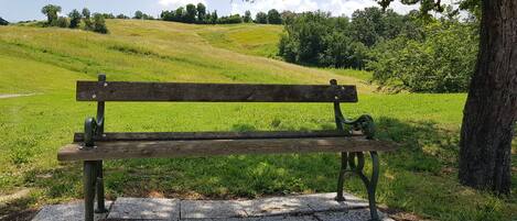 A wooden bench with metal armrests, situated on a paved path in a park with a grassy hill and trees in the background.
