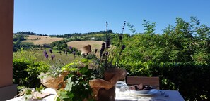 Una mesa al aire libre con vistas a colinas onduladas y viñedos.