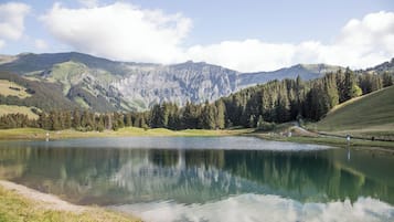 A lake surrounded by mountains, a clear sky, and a forested area.