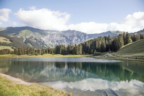 Un lago rodeado de montañas, cielo despejado y zona boscosa.