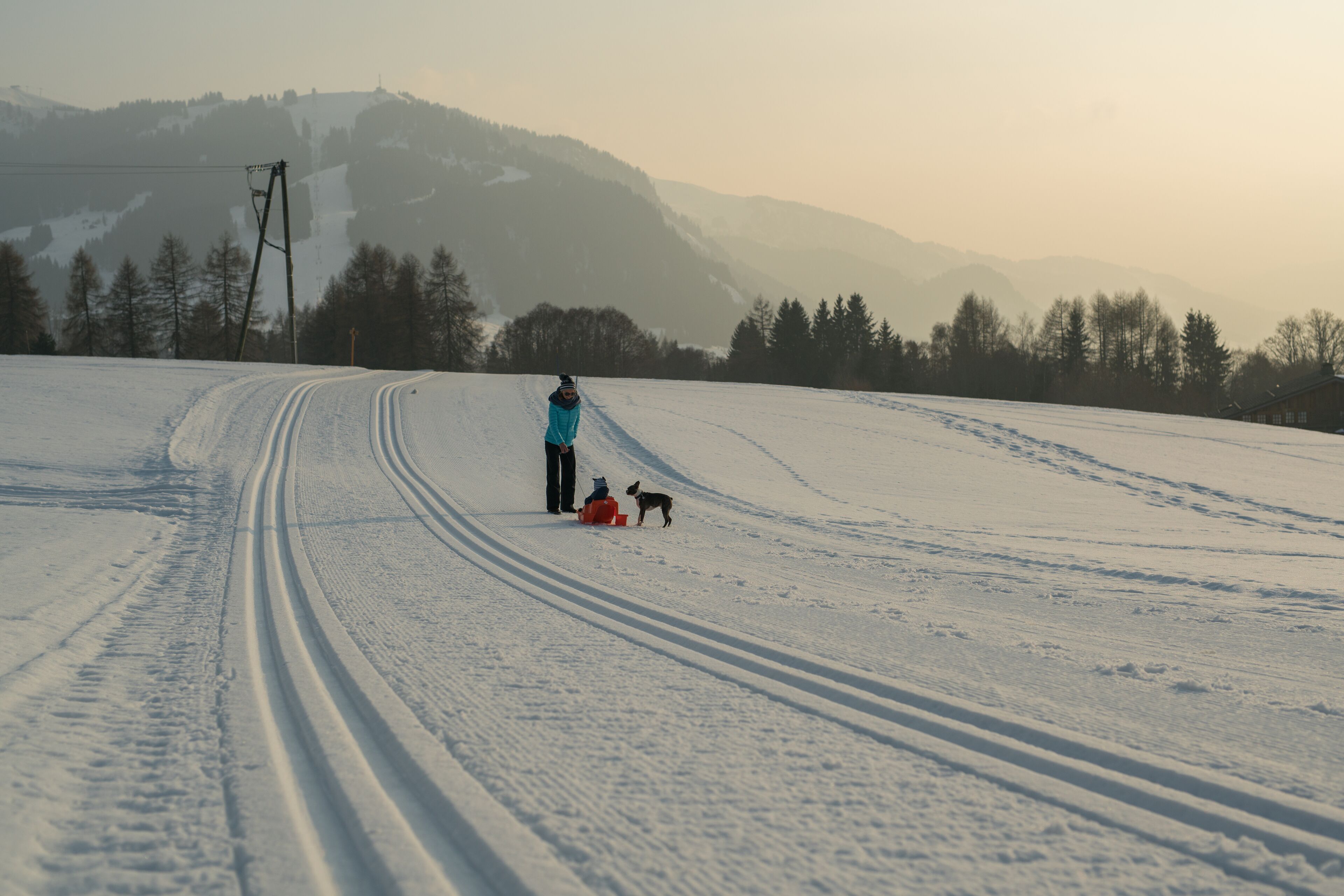 Un paysage enneigé avec une personne et un chien.