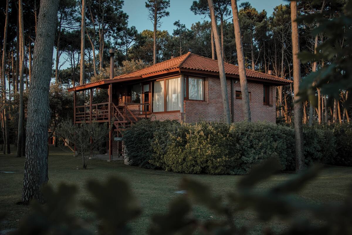 A rustic cabin with a wooden staircase, surrounded by dense forest.