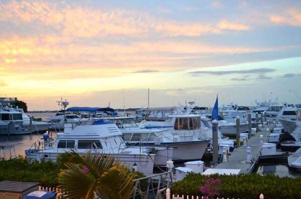 Marina