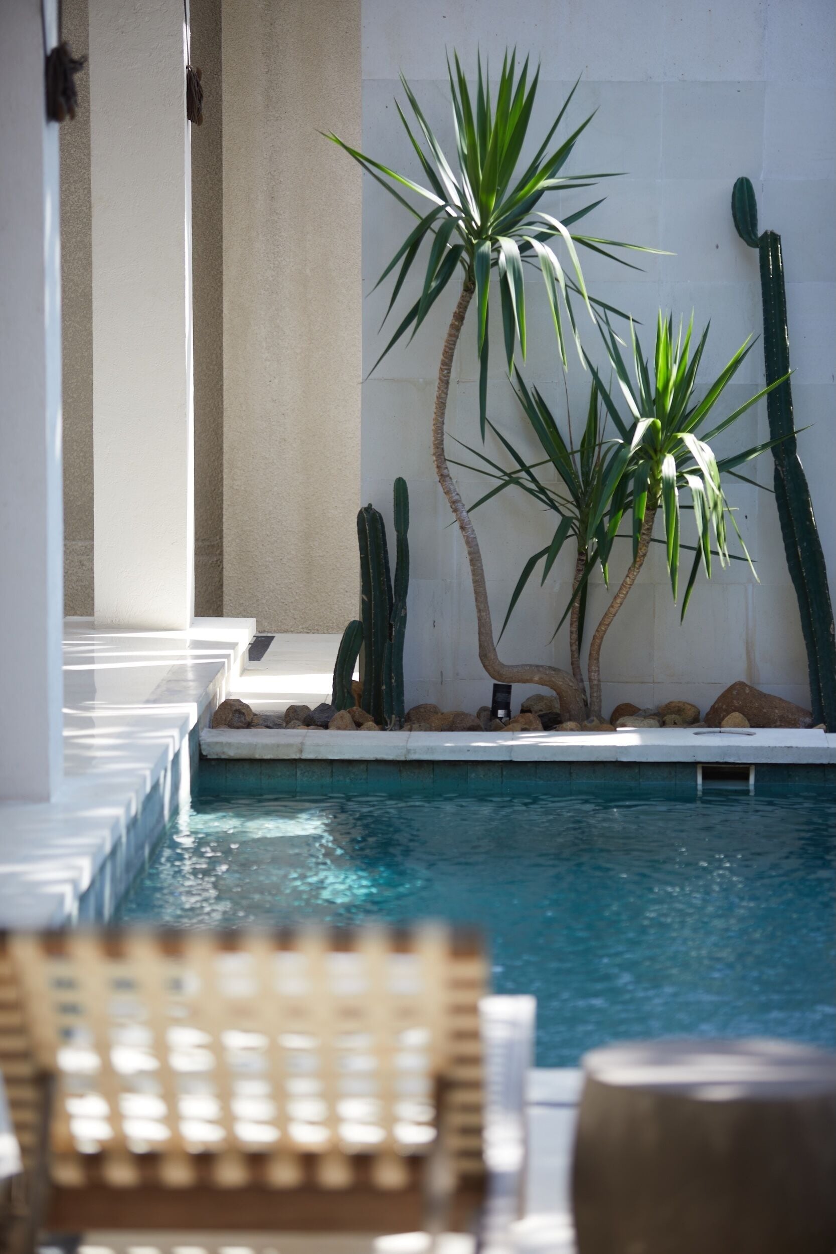 A pool area with a clear view of the water, surrounded by cacti and palm trees, with a tiled floor and a wooden chair in the foreground.
