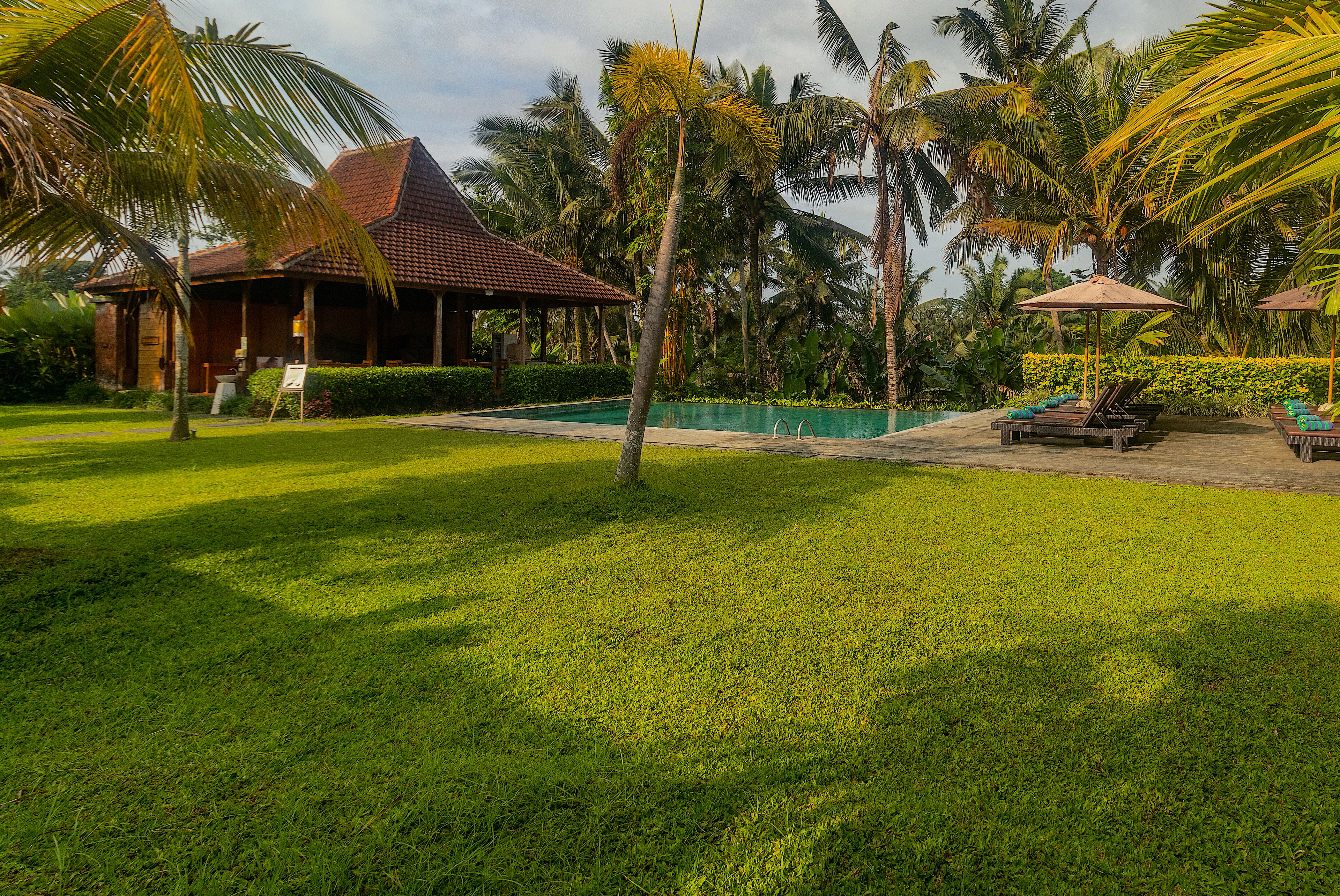 A tropical resort with a swimming pool, lounge chairs, and palm trees.