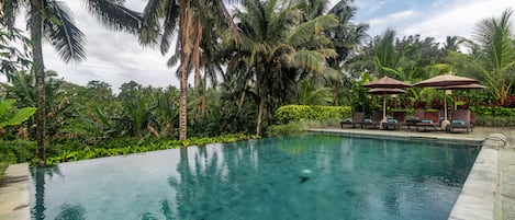 Outdoor pool, pool umbrellas, sun loungers