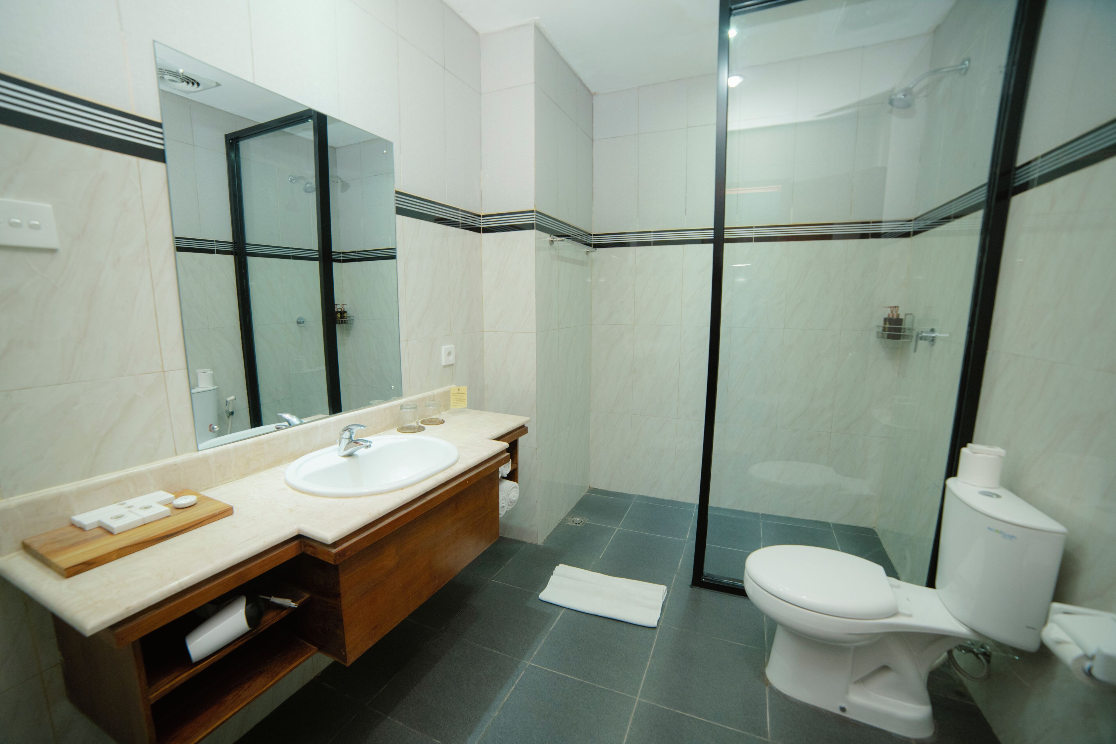 A modern bathroom with a glass-enclosed shower, a sink with a mirror, and a toilet.