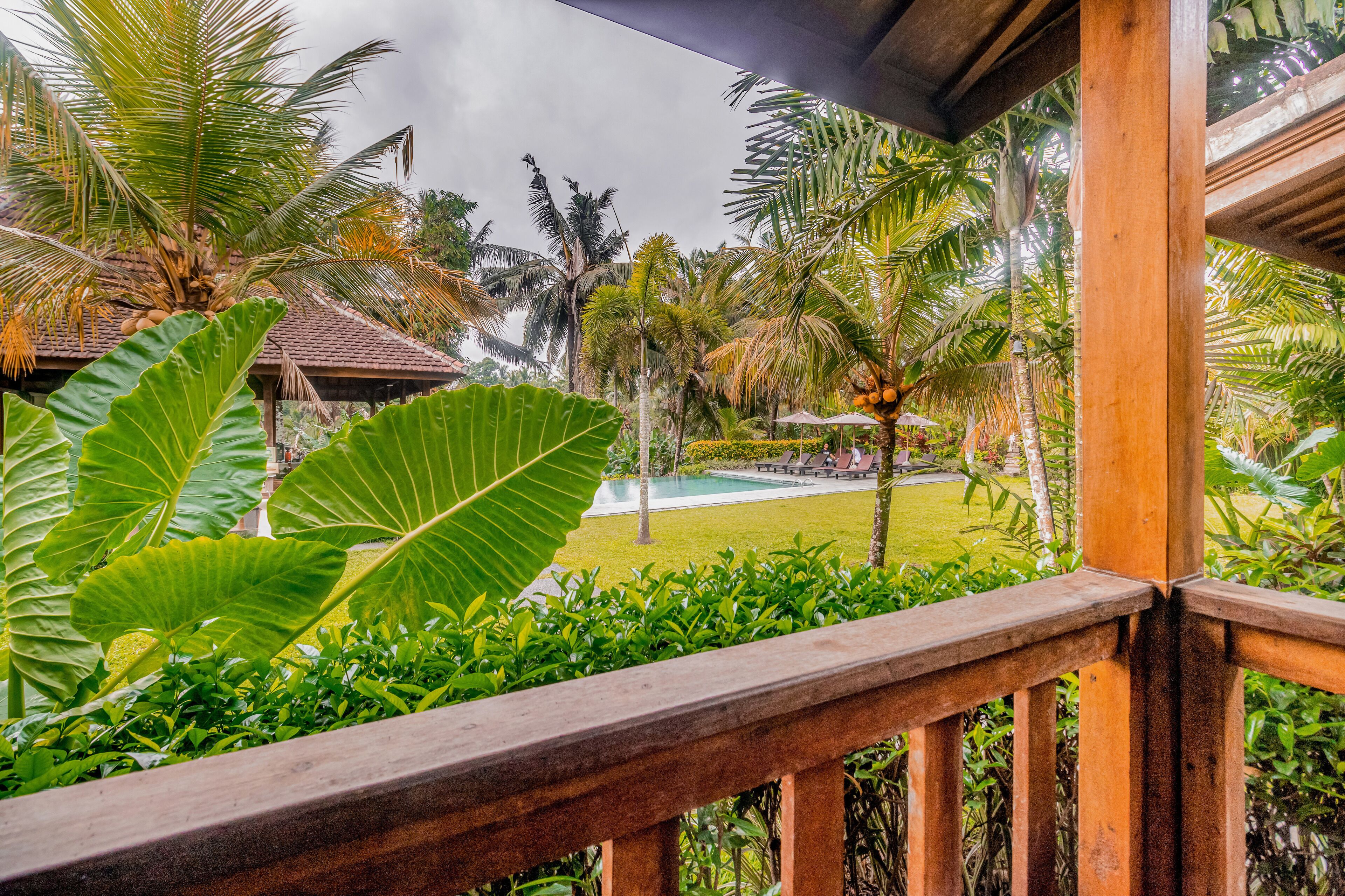 Foto - Pertiwi Bisma Ubud Resort