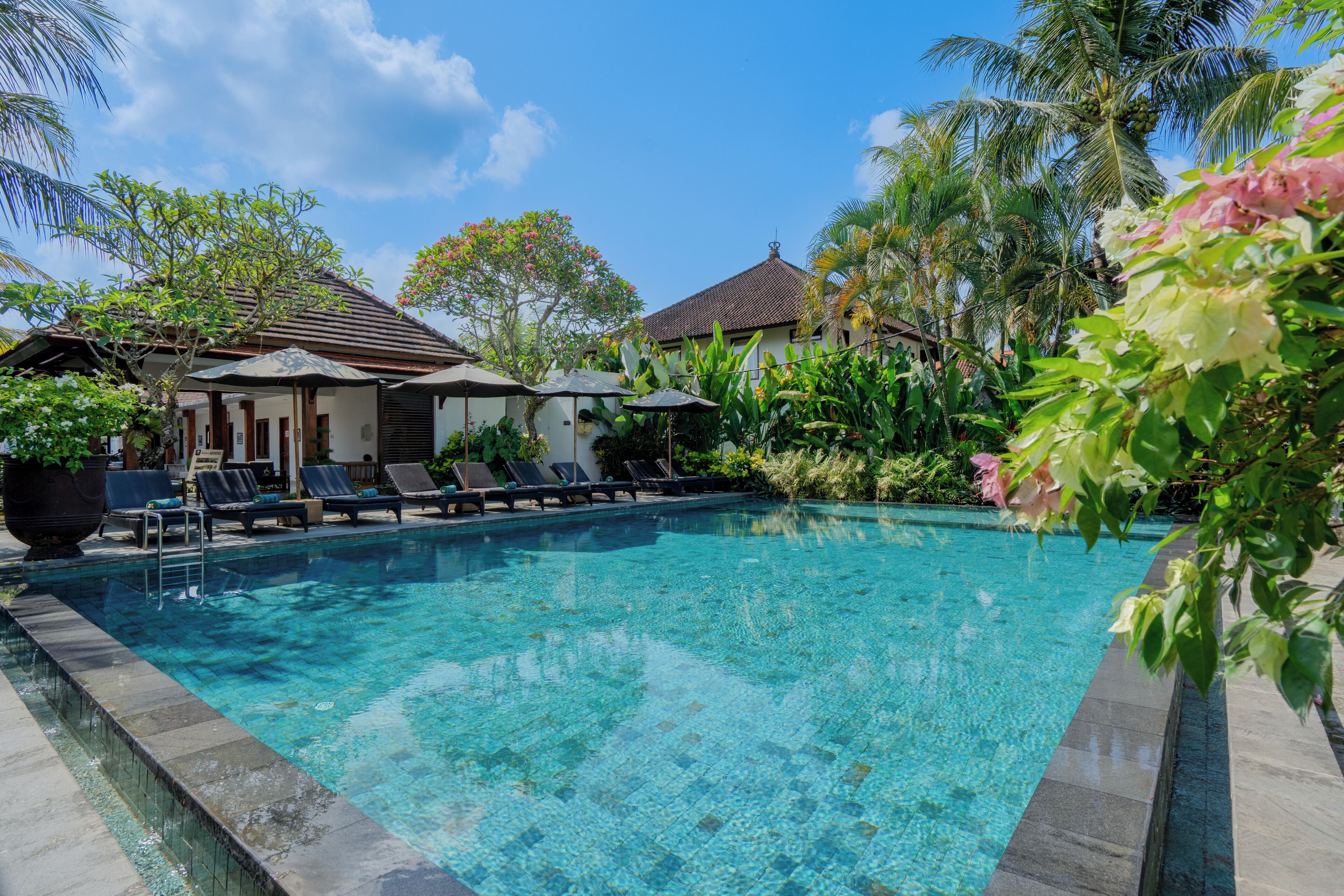 A clear swimming pool with lounge chairs and umbrellas, surrounded by lush greenery and palm trees.