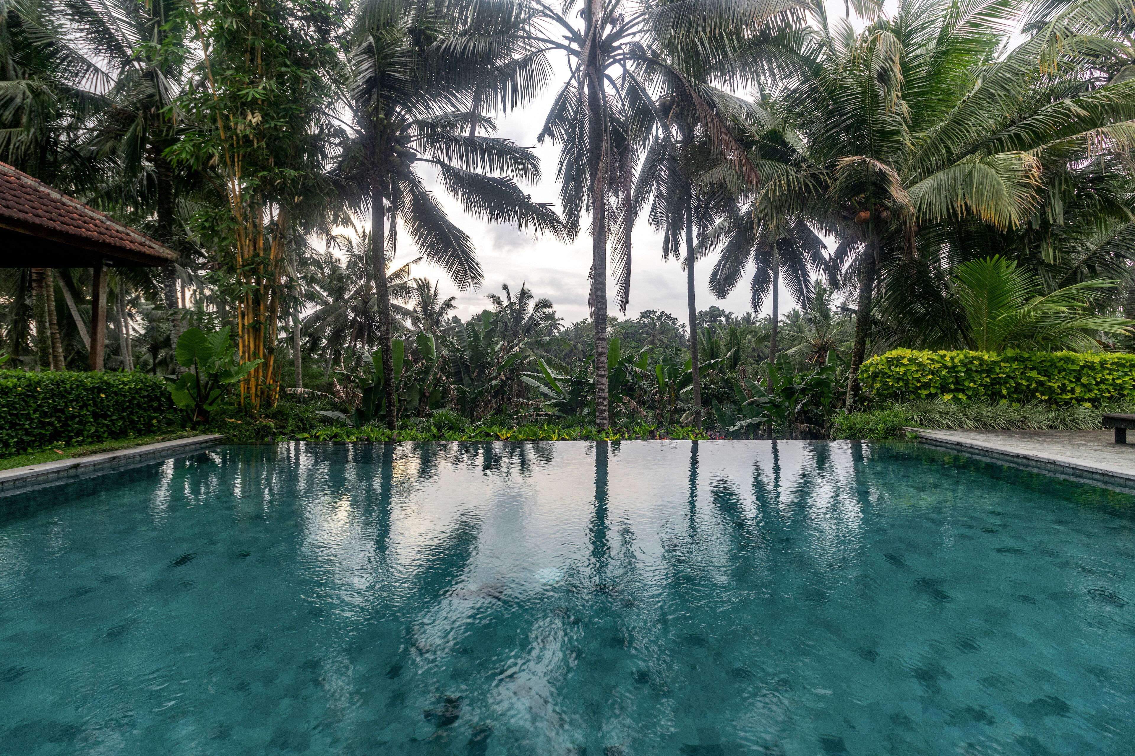outdoor pool, pool umbrellas