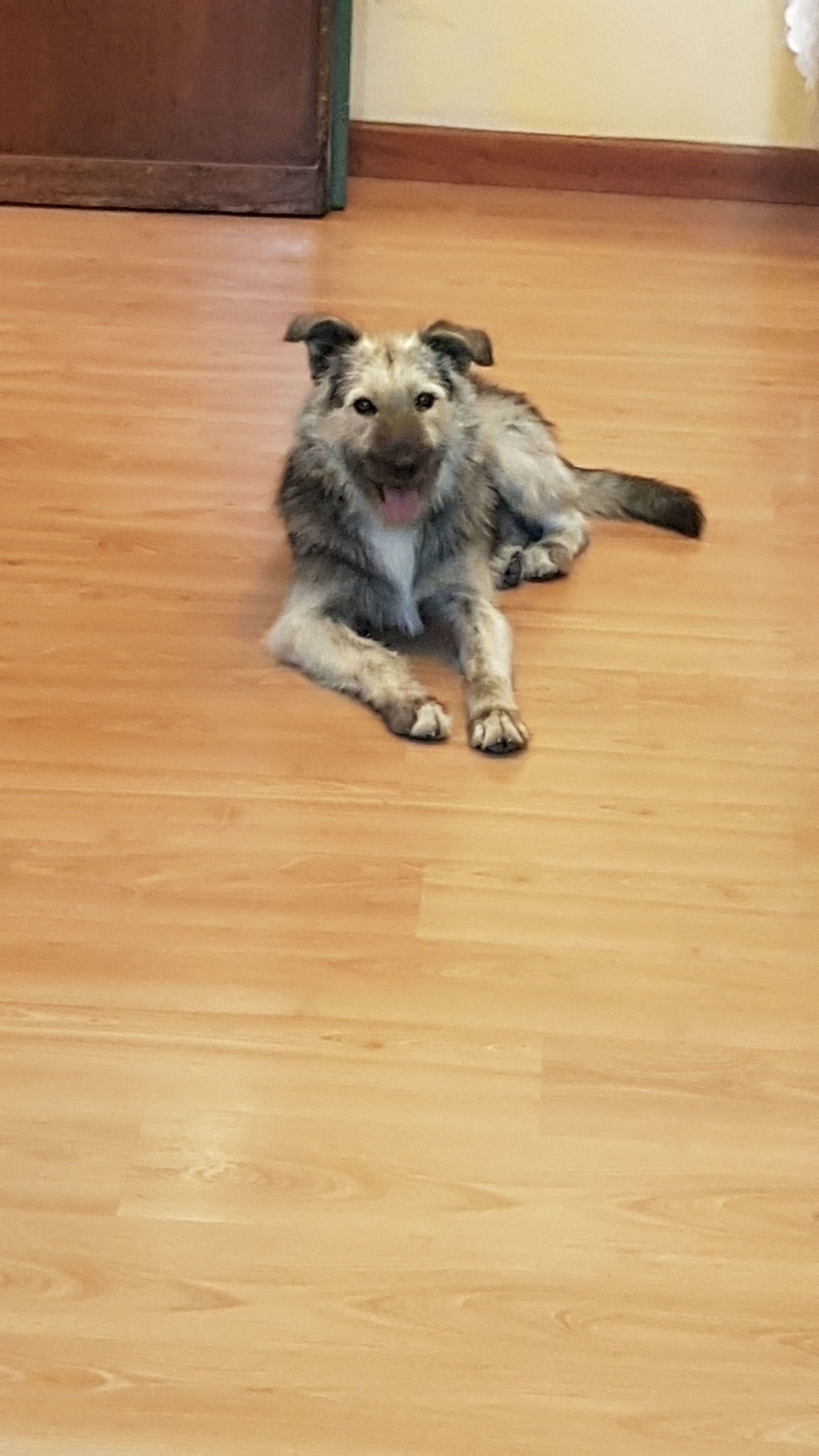 Foto - Monteoliveto Bed & Breakfast